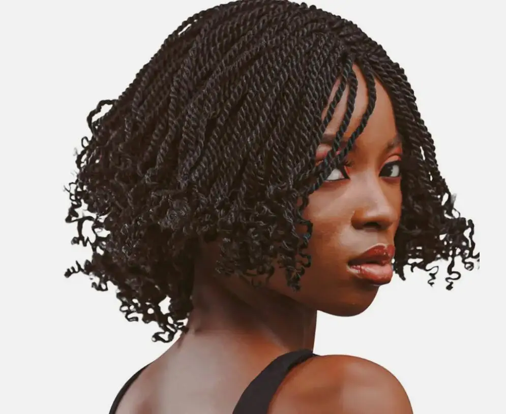 Kinky Twisted Braids Wigs NoneLace Wigs for Women Synthetic Short Braided Wigs