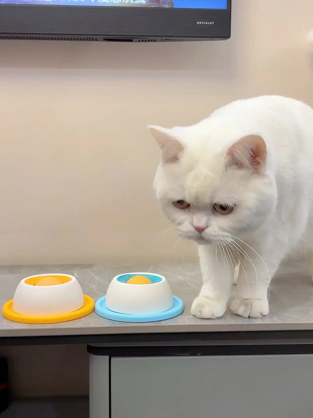 Haustier-Leckspielzeug, Slow-Feeder-Spender, Interaktives Reizmaterial, Trainingszubehör für Hunde, Katzen und Welpen – Detail 16