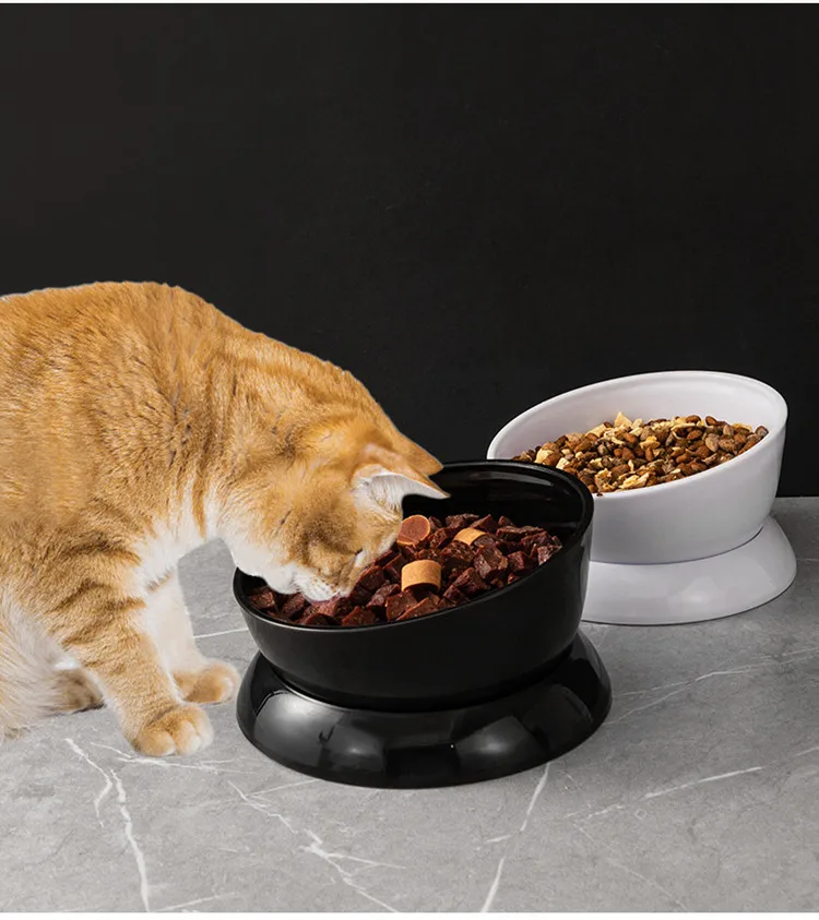 Cat Bowl Black Drinking Bowl Dog Food Bowl Anti Spill Large Diameter Slanted Mouth