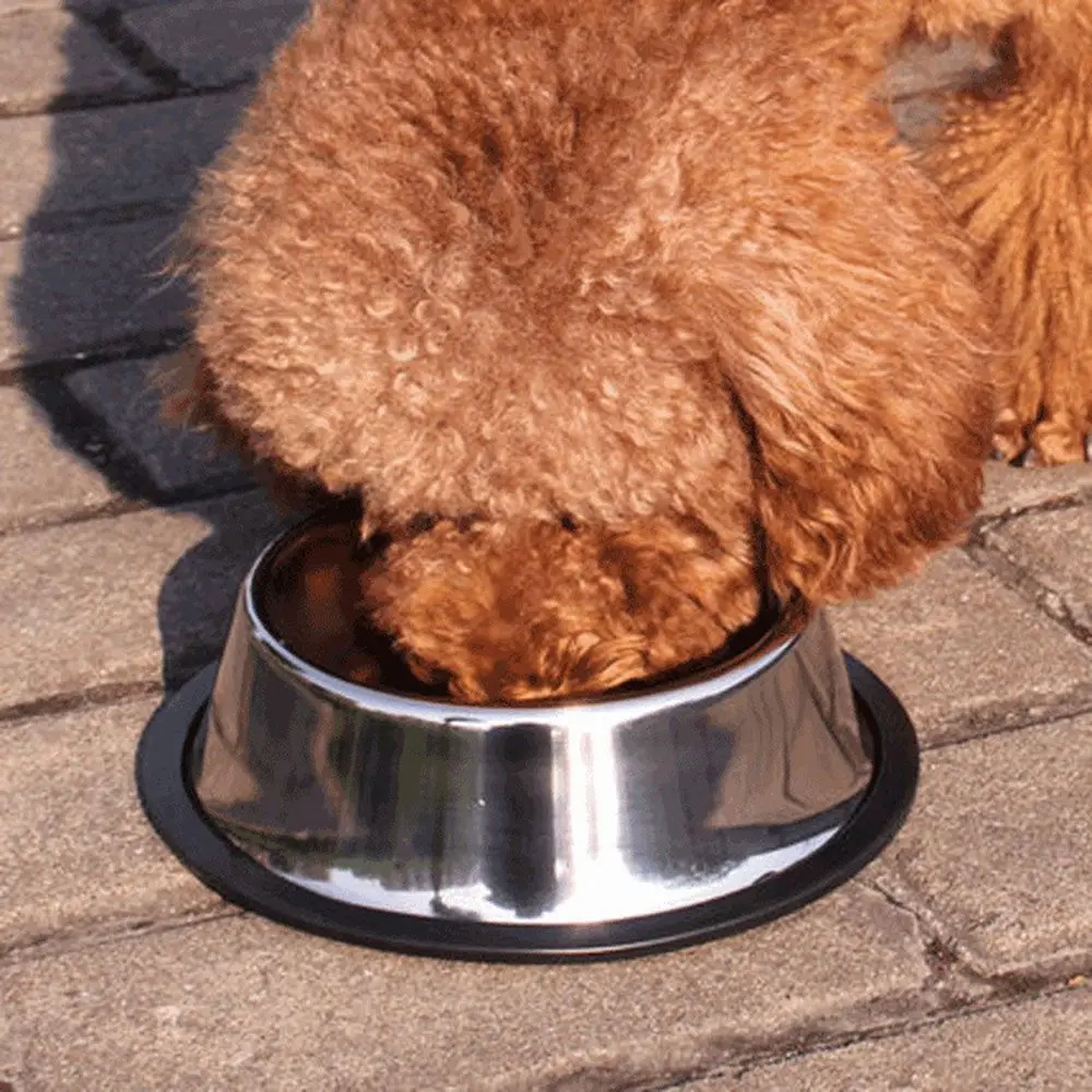 Anti Slip Dog Bowl Stainless Steel Food Holder Simple Fall Prevention Pets Accessories Puppy Water Dish Cat Feeding Tool