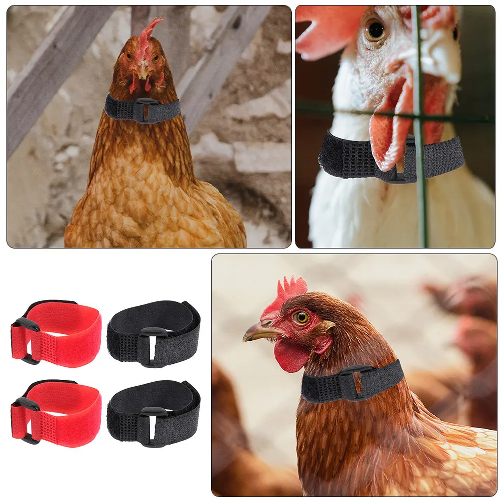 4Pcs Crowing Proof Rooster Collars High Class Materials Poultry Neck Belts Easy to Use and Store Rooster Collar