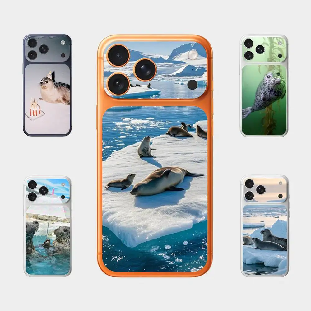 

Animal Seal Back Cover Decal Protective Sticker For Iphone 17 Pro Max Skin Sticker Back Protective Decorative Stickers