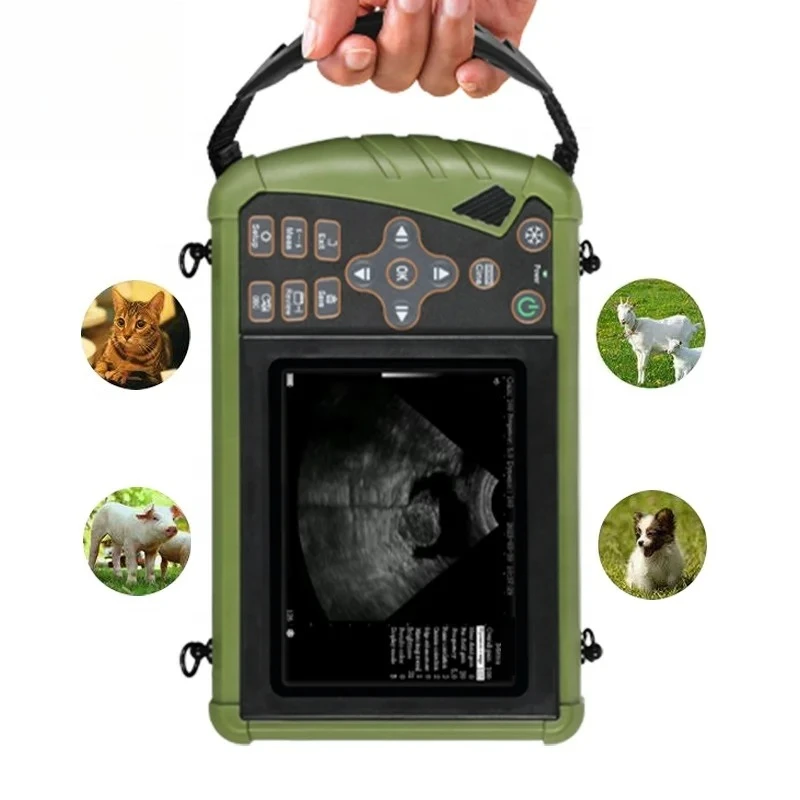 Best Price Small An… - image