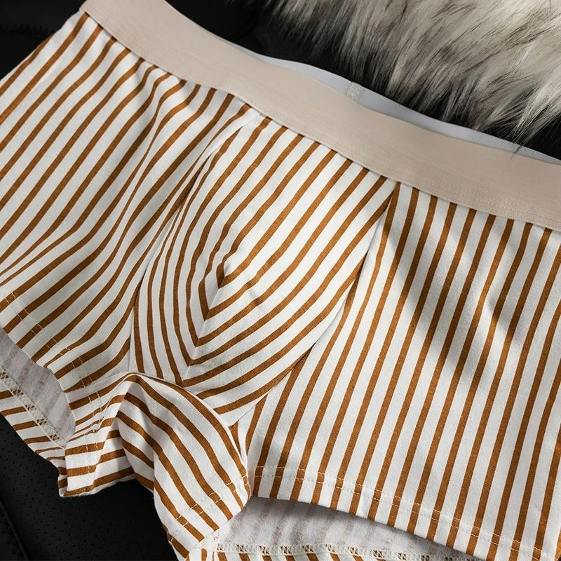 New Men's Underwear Pure Cotton Striped Flat Angle Personality Comfortable Boys Breathable Four Corners Trendy Youth Shorts