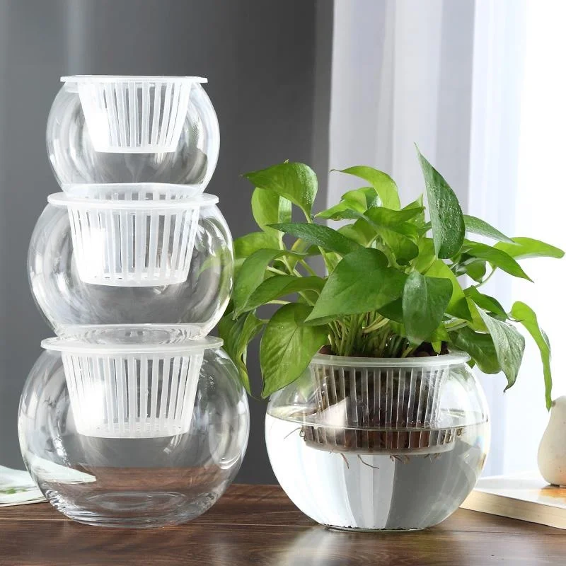 

Стеклянный цветочный горшок-аквариум для растений, контейнер для выращивания плюща в воде, простая ваза для домашнего декора