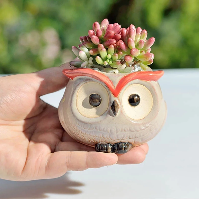 Ceramic Owl Flower Pot Garden Office Decoration Succulent Mini Owl Flowerpot Cute Animal Flowerpot Cactus Plants Planters