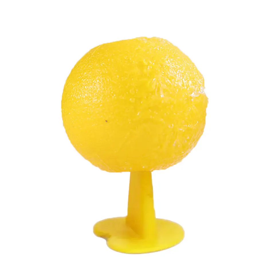 Reusable Fruit Fly and Mosquito Trap for Orchards