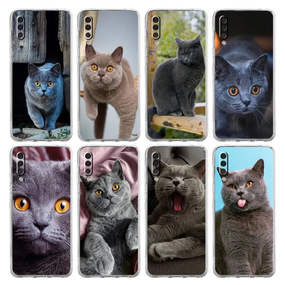 British shorthair cat For Samsung Galaxy A14 Case A50 A70 A30 A40 A20E A10S A20S A02S A04S A12 A22 A32 A34 A42 A52 5G A54 Cover