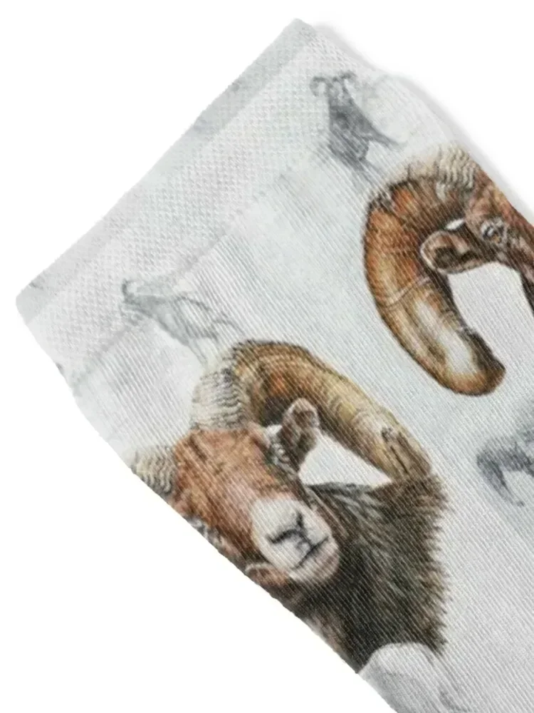 North American Bighorn Sheep Collage Socks hip hop with print New year's cute Socks Women Men's