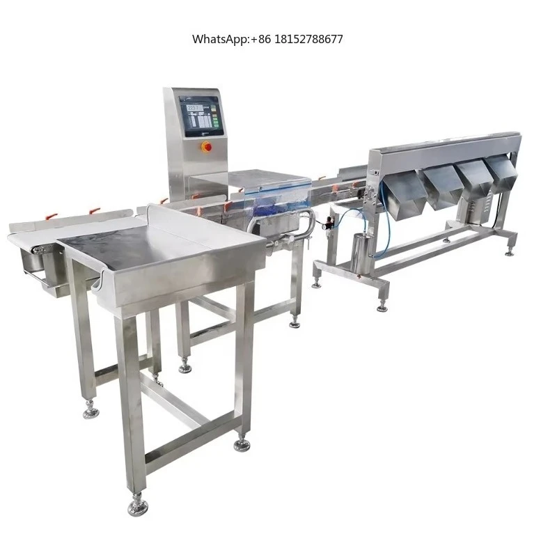 High Efficiency Automatic Weight Grading Scale Sorting Machine for Fruit Vegetable 304 Stainless Steel 0.3g Accuracy 1000g