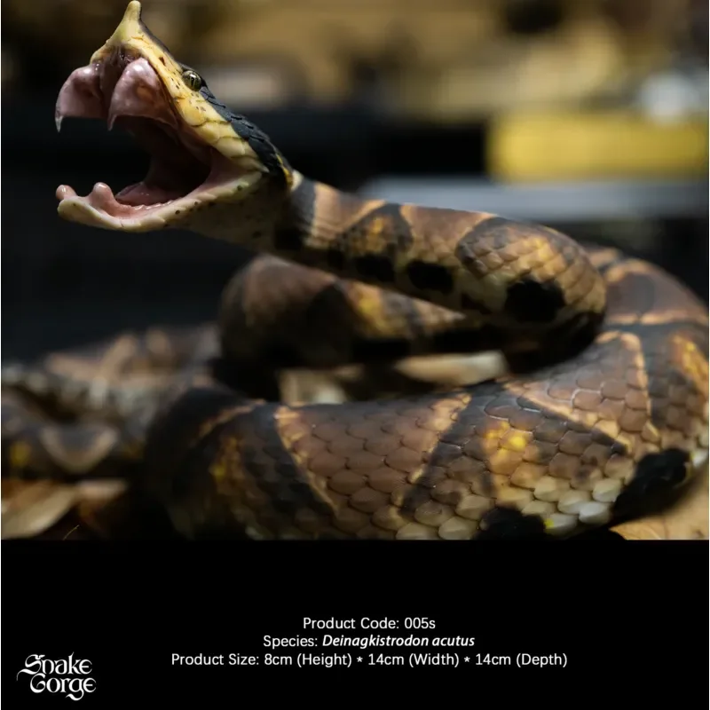 Micro Landscape Miniature Model Five step Snake Sharp Nose Viper Animal Figure Indoor Tabletop Decor Scene Diorama Resin Model