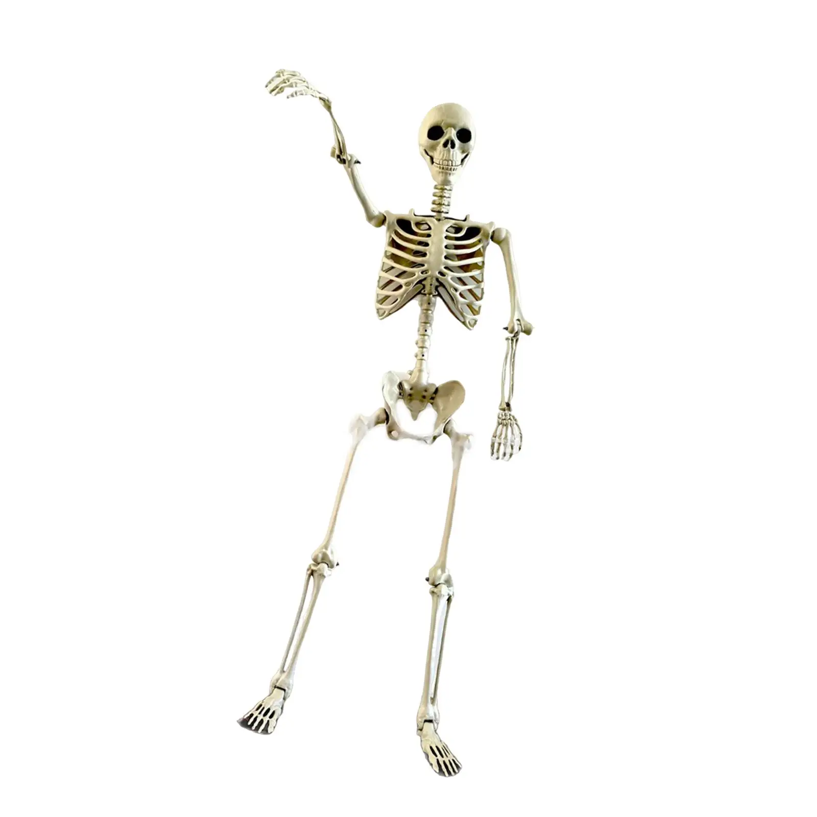Skeleton Halloween Ornament Plastic Full Body Decor Figure for Elegant Room Halloween Decoration