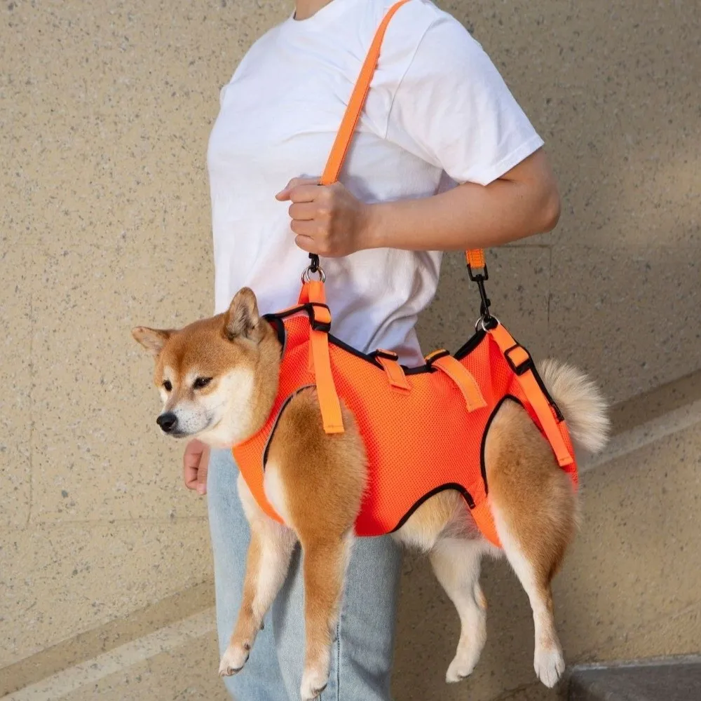 Adjustable Dog Lift Harness 11