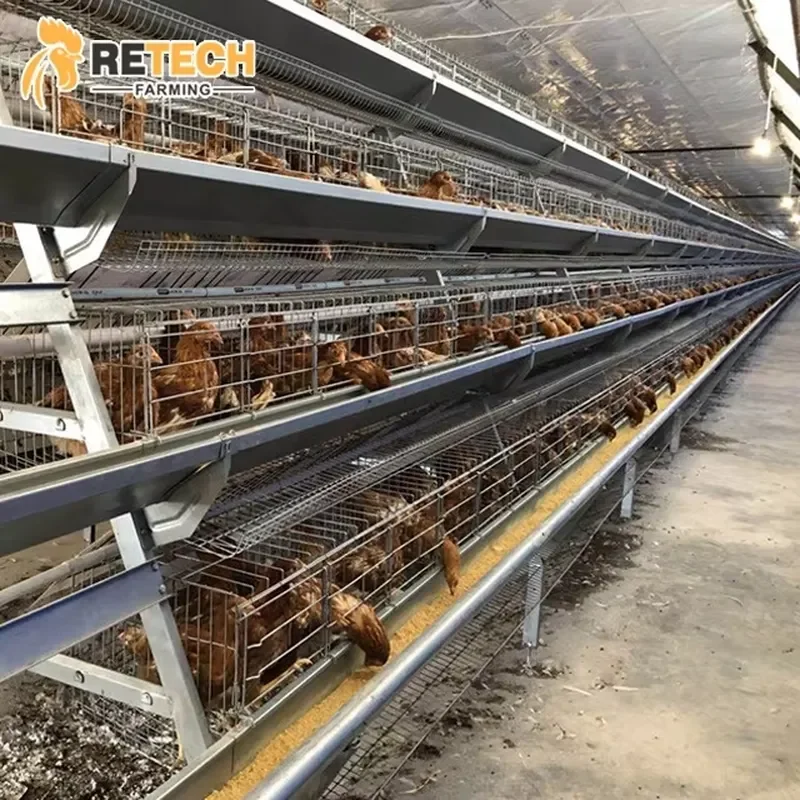 Battery Chicken Layer Cage System for Retech Farming Poultry Coop Animal Cage Complete Sets