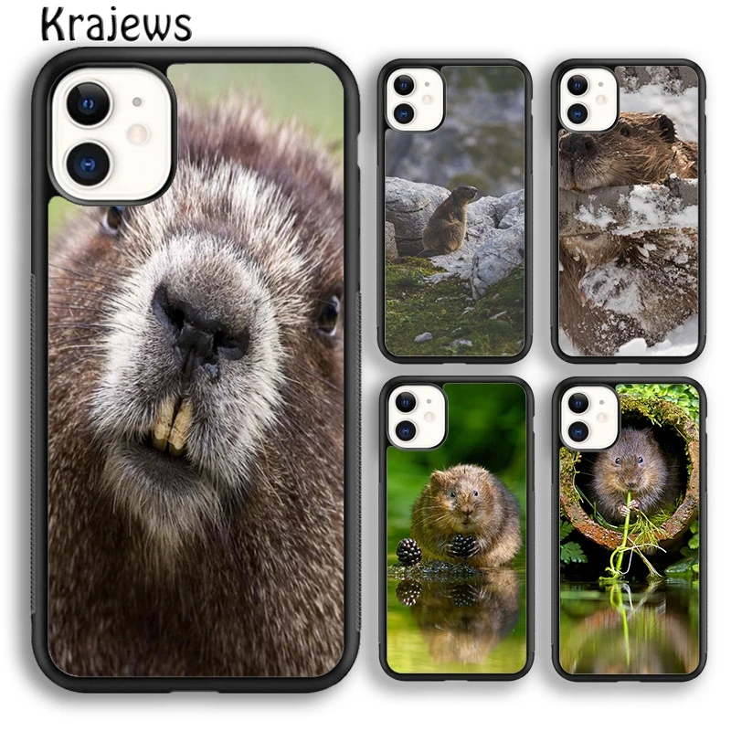 Krajews Animal Beaver Soft Phone Case Cover For iPhone 16 15 SE2020 14 6 7 8 plus 11 12 13 pro max coque Shell Fundas