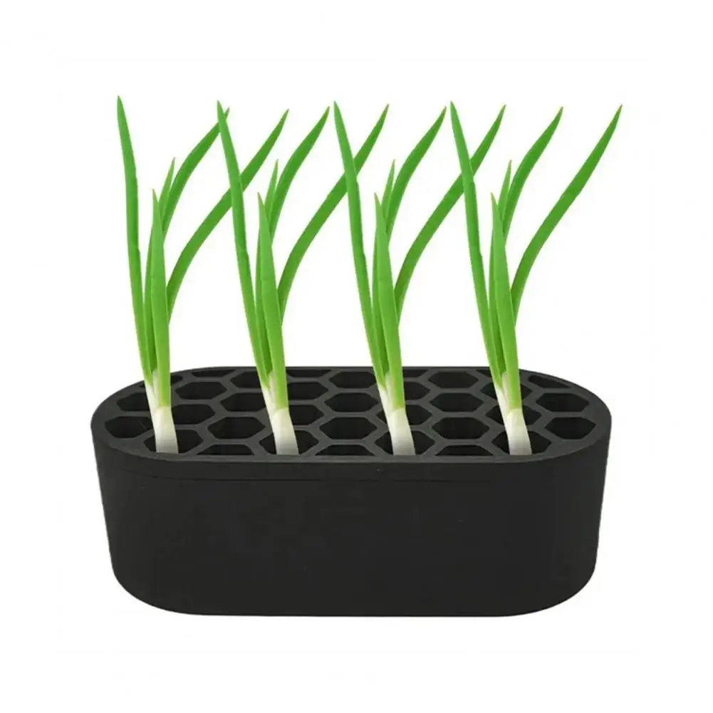 

Easy-to-use Planting Tray Plants Seedlings Tray Hydroponic Planting Tray for Scallion Regeneration Seedlings for Hydroponic