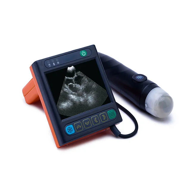 Portable Veterinary Ultrasound Scanner Used For Animal Pregnancy
