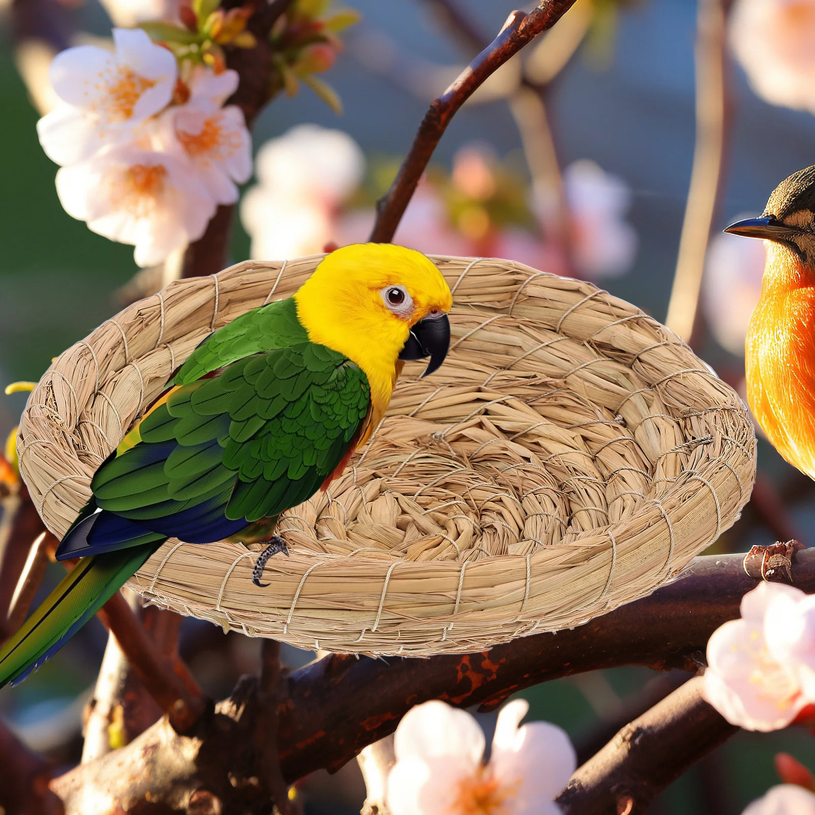 

Handmade Straw Bird Nest Natural Weave Perfect Nesting Shelter for Parrots Macaw African Small Birds and Small Pets