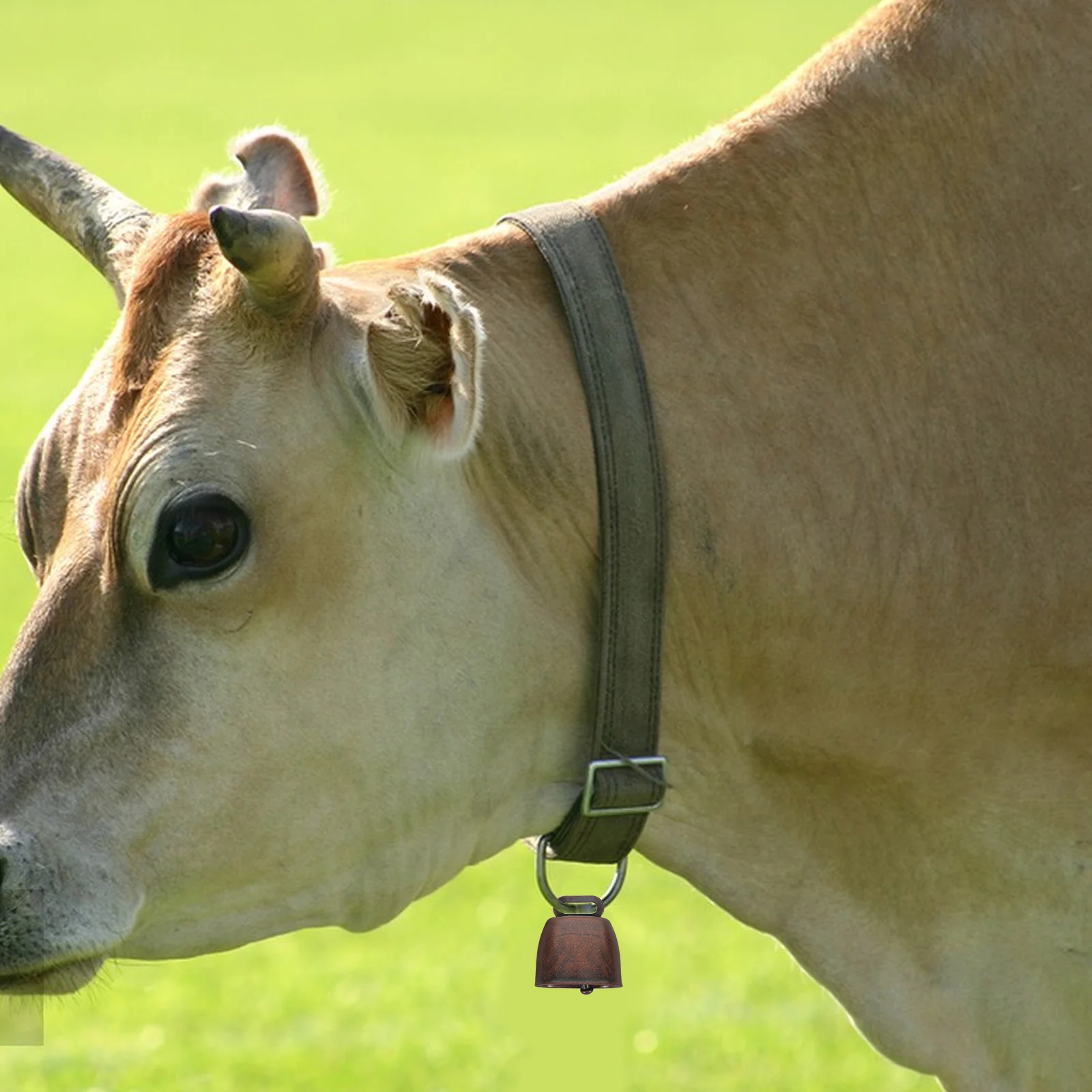 

16Pcs Pet Bells Metal Cow Horse Sheep Goat Iron Vintage Rustic Loud Collar Bells for Outdoor Farm Animals Pet Bell