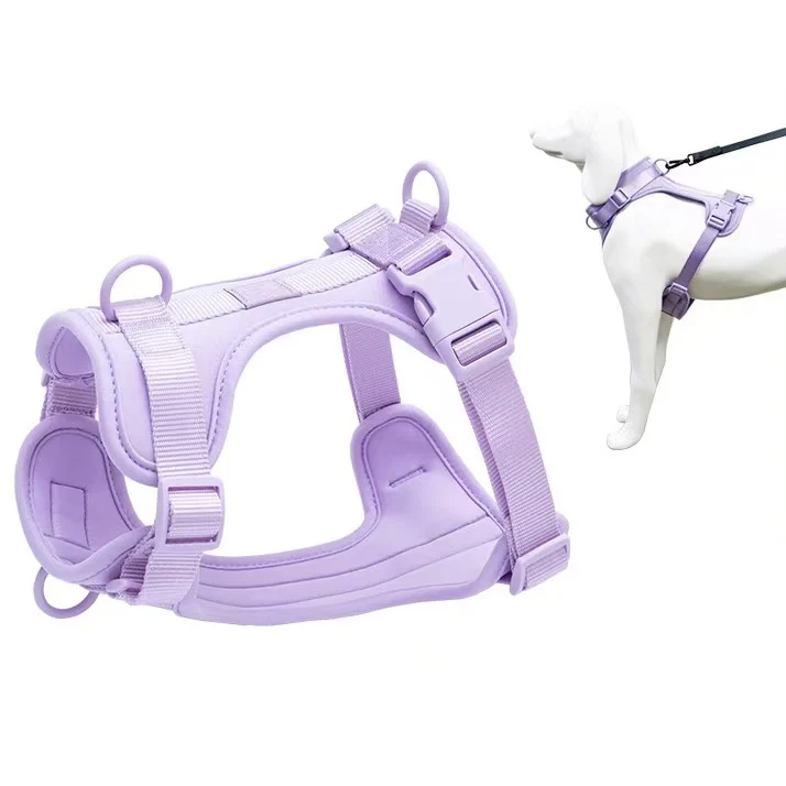 

Dog Harness-Lightweight Breathable Mesh, Adjustable Soft Padding, All-Size Fit for Spring Summer Travel,Outdoor Walking Pet Vest