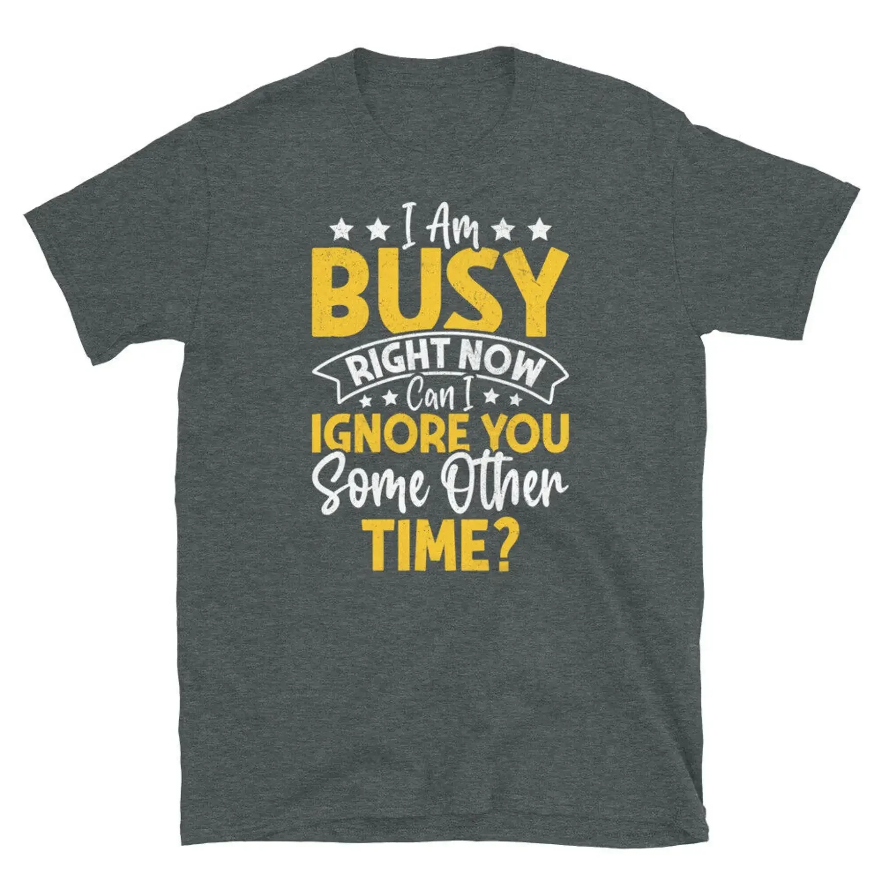I Am Busy Right Now Can I Ignore You Some Time Other Short Sleeve Unisex T Shirt
