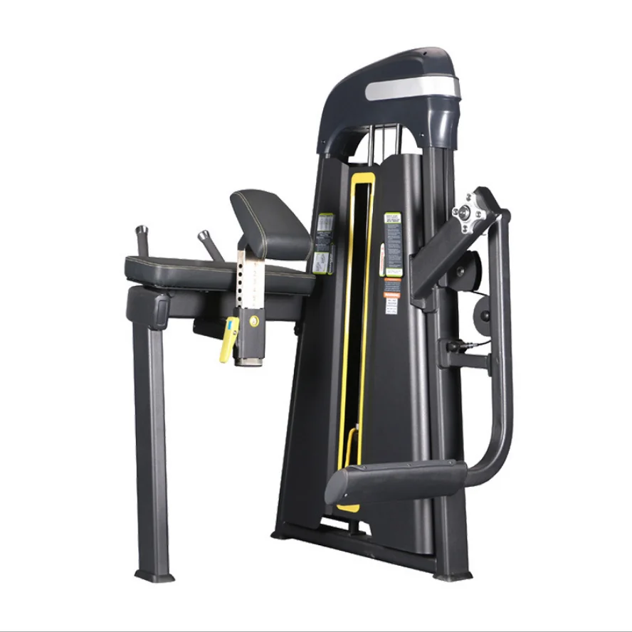 Fitness Machine 2024 Factory Wholesale Commercial Gym Machine Strength Machine Back Leg Raise