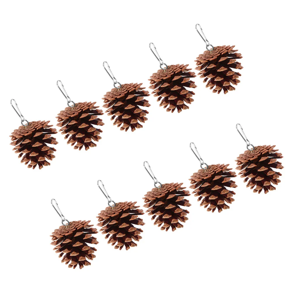 

10 Pcs Interesting Bird Toy Parrot Parakeet Cage Birds Toys for Hanging Plaything