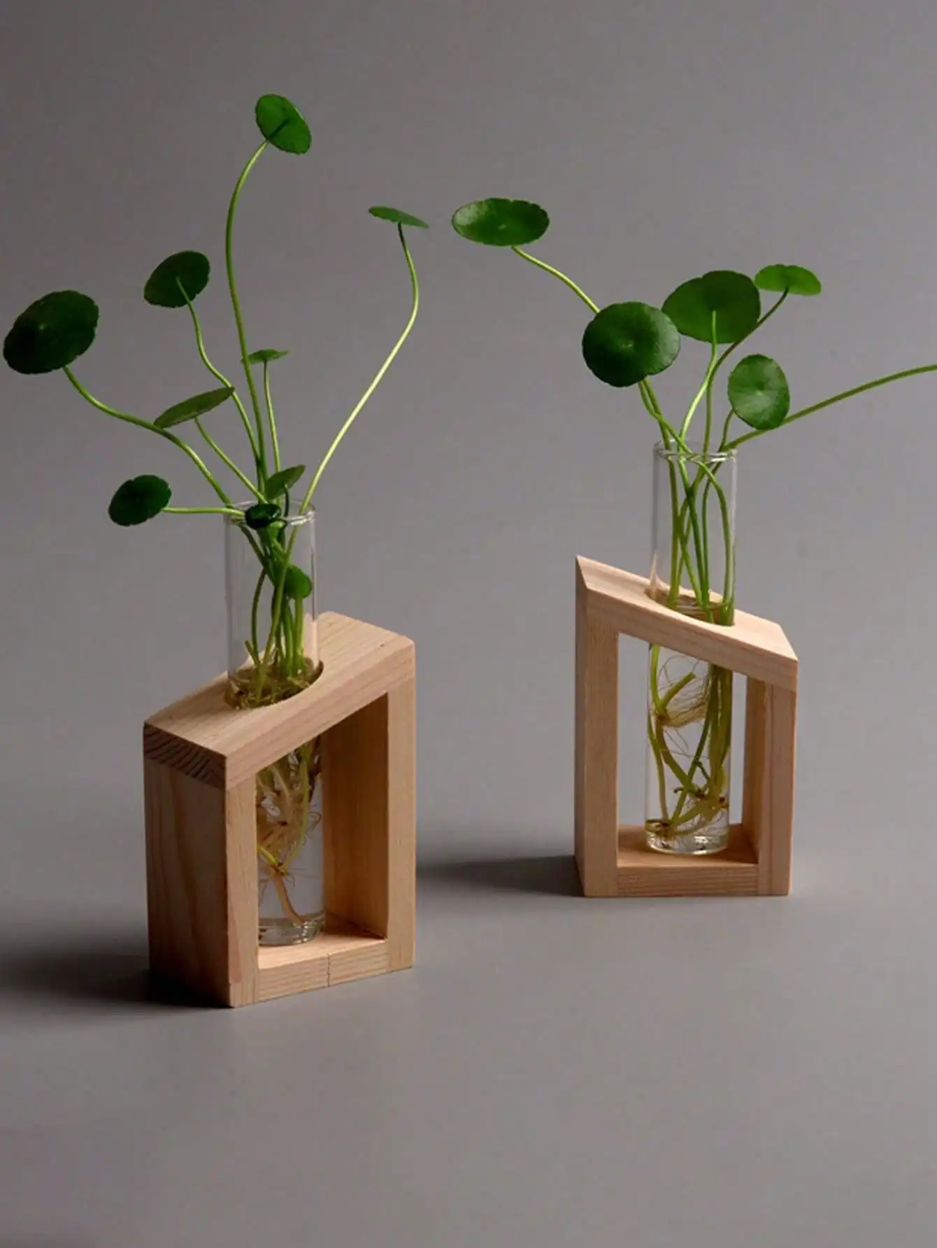 1/2 Pack Glass Test Tube Vase with Wooden Stand for Hydroponic Plants, Home Office Desk Room Decor Vase