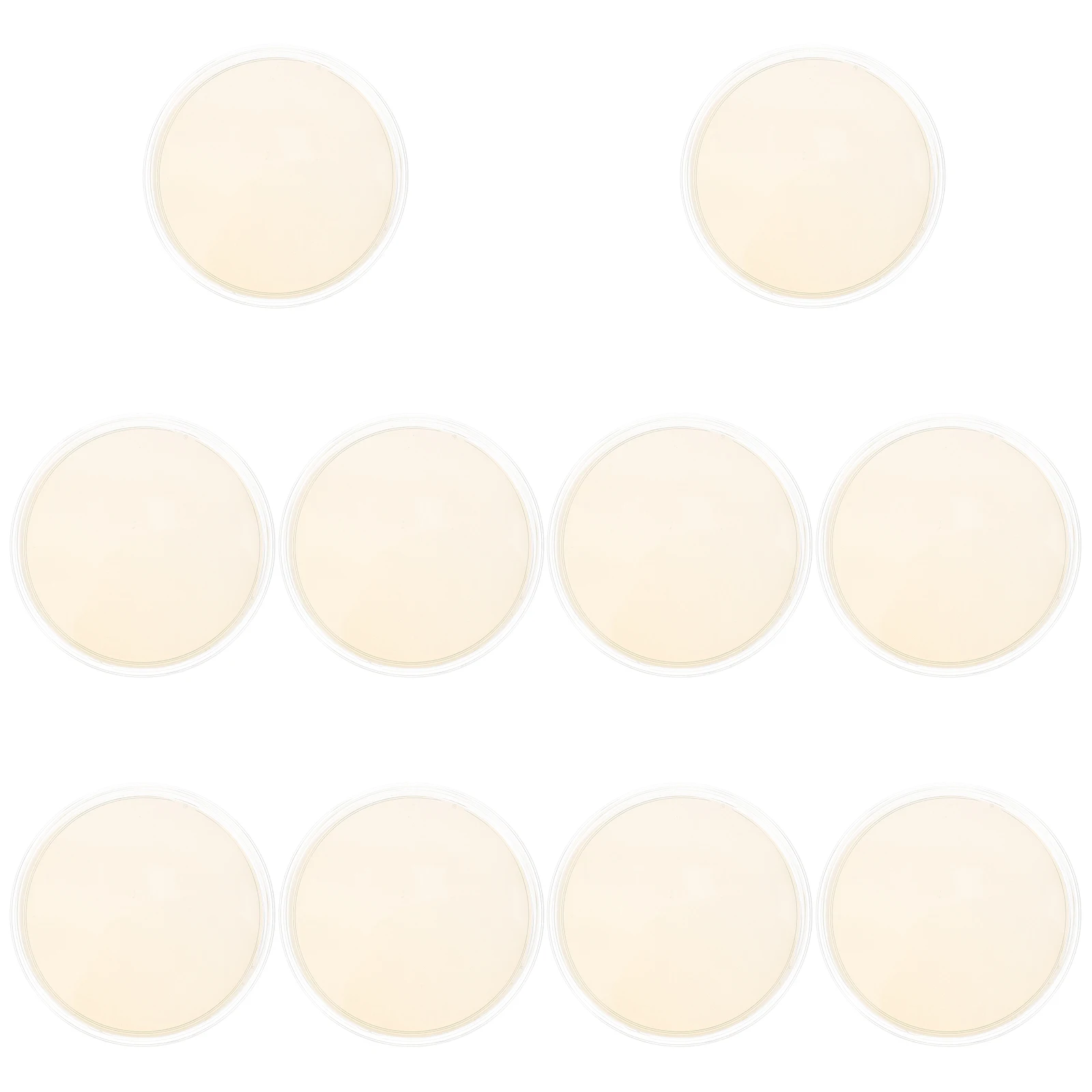 

10pcs Medium Crystal Nutrient Agar Plates Disposable Agar Medium For Science Fair Projects Lab Petri Dishes Vacuum Packaging