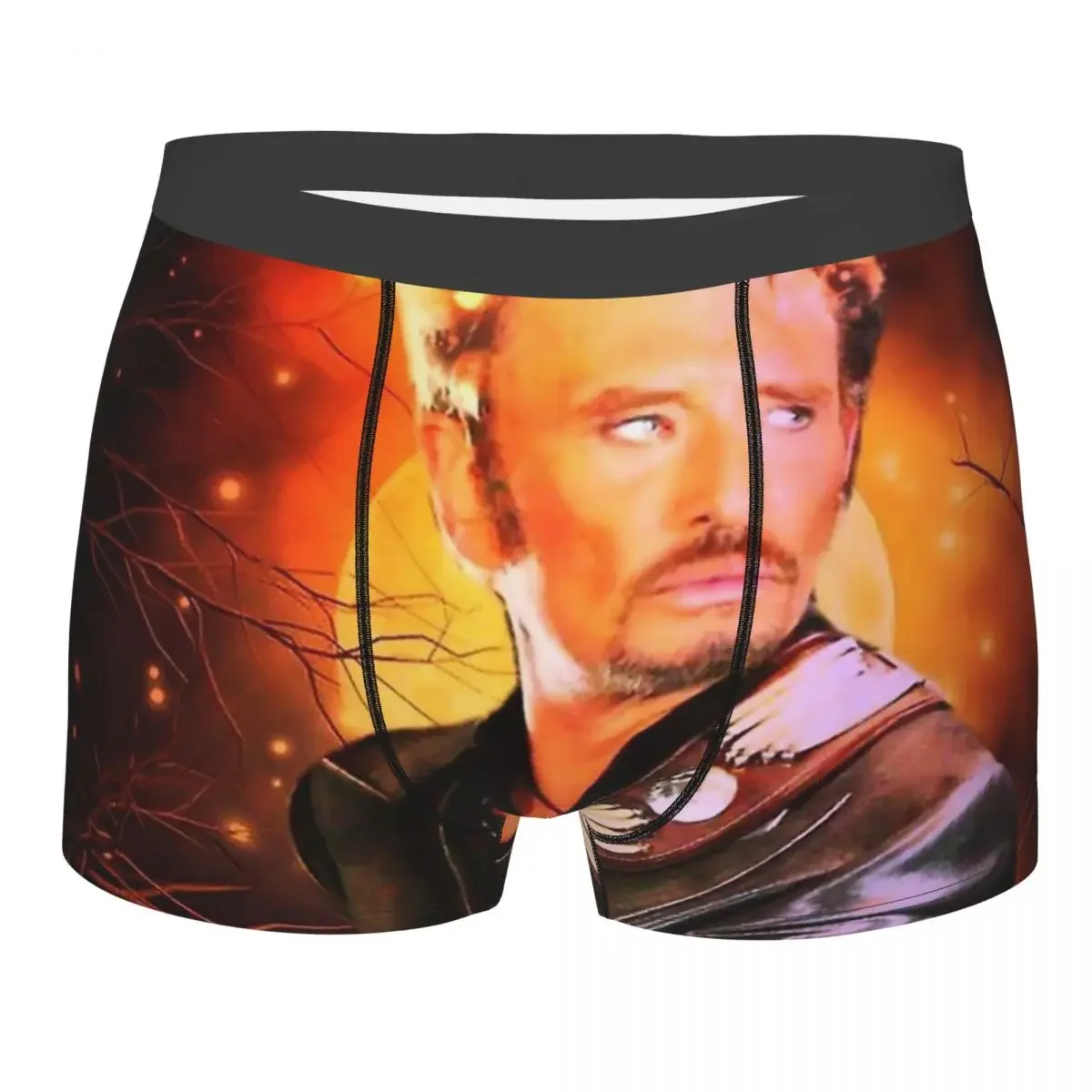 Men  Hallyday Underwear Rock Music French Singer Novelty Boxer Shorts Panties Male Polyester Underpants