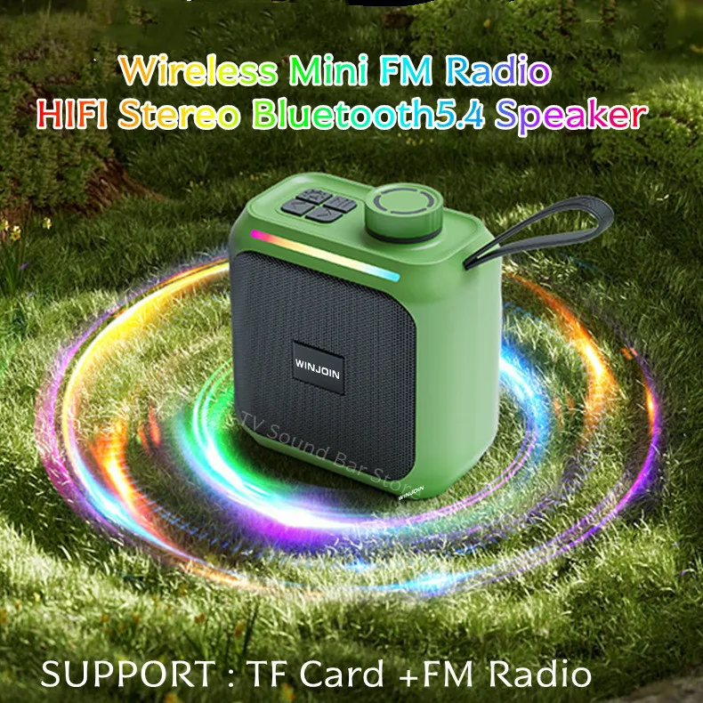 Wireless Mini Fm Ra…