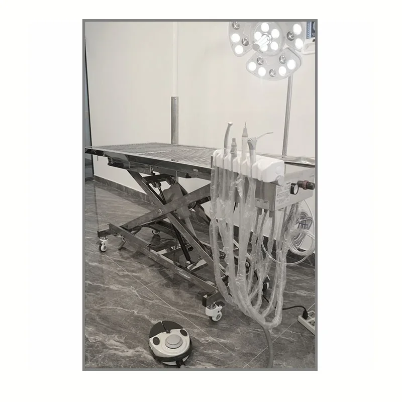 a forHigh Quality Large Dog Pet Grooming Table Pet Electric Veterinary Operating Desk