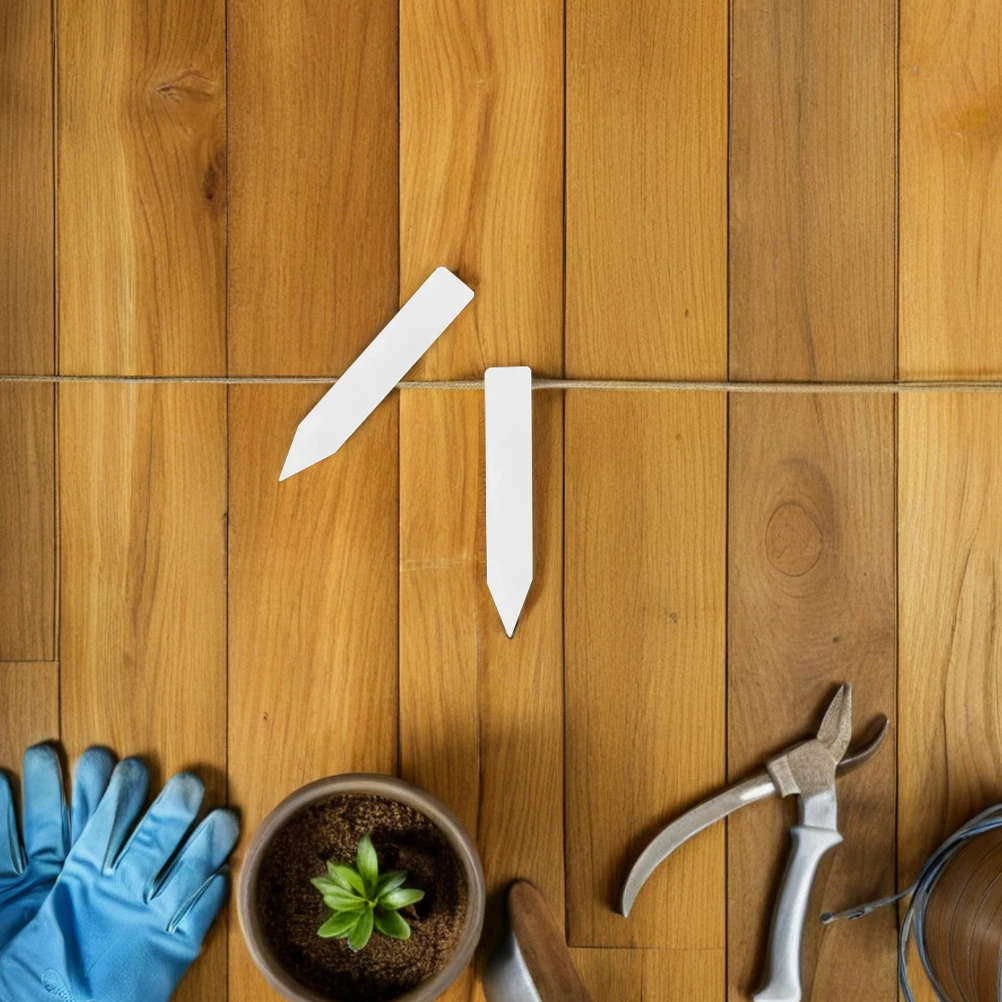 100 قطعة من ملصقات نباتات الحديقة مقاومة للبهتان وسهلة الإدراج أوتاد بلاستيكية لخضروات الأعشاب والعصارة والبستنة الداخلية والخارجية #2