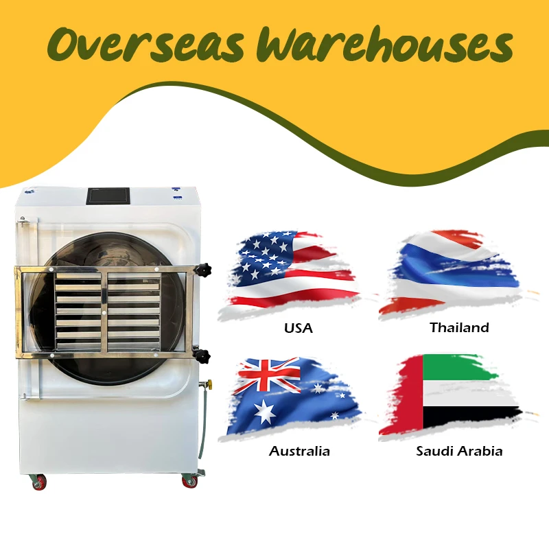 Food Vacuum Freeze Dryer Big Capacity Dryer Experience Large-Batch Freeze Drying Without Sacrificing Kitchen Space