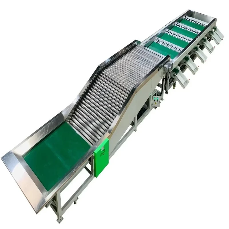 Automatic Fruit & Vegetable Grading Machine Multi-functional Sorter & Grader Automatic Fruit Vegetable Sorting Machine