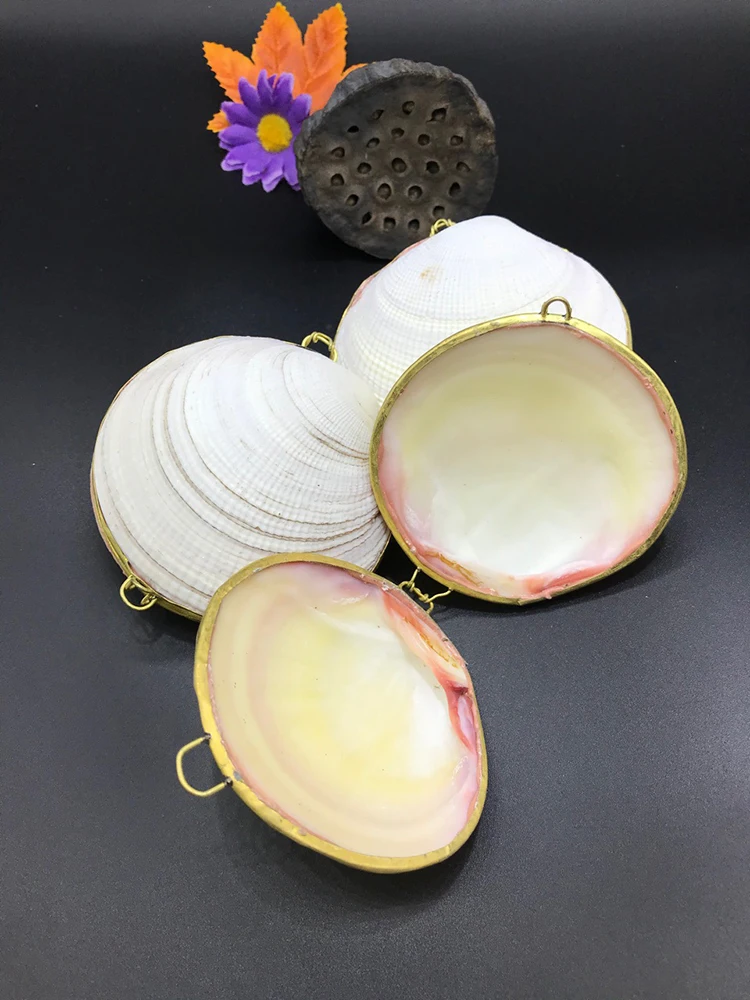 Aqumotic Natural Shell Jewelry Box Cans Conch Crafts No Chain Ear Studs Jewelry Ring Earrings Bracelet Necklace Storage
