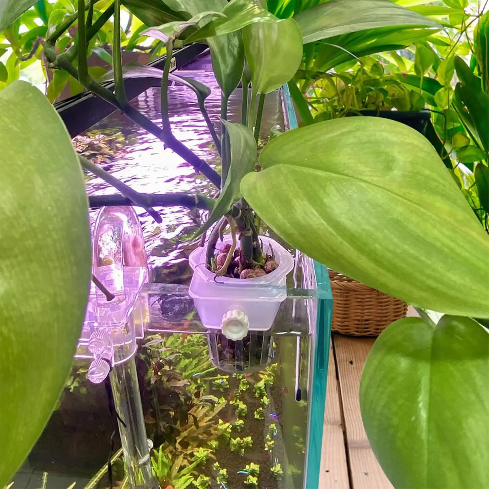 2PCS Hangable Aquatic Plant Holder with Holes Aquarium Decoration Plant Cup Pot Acrylic Aquatic Plant Cup Decoration Tool - view 6