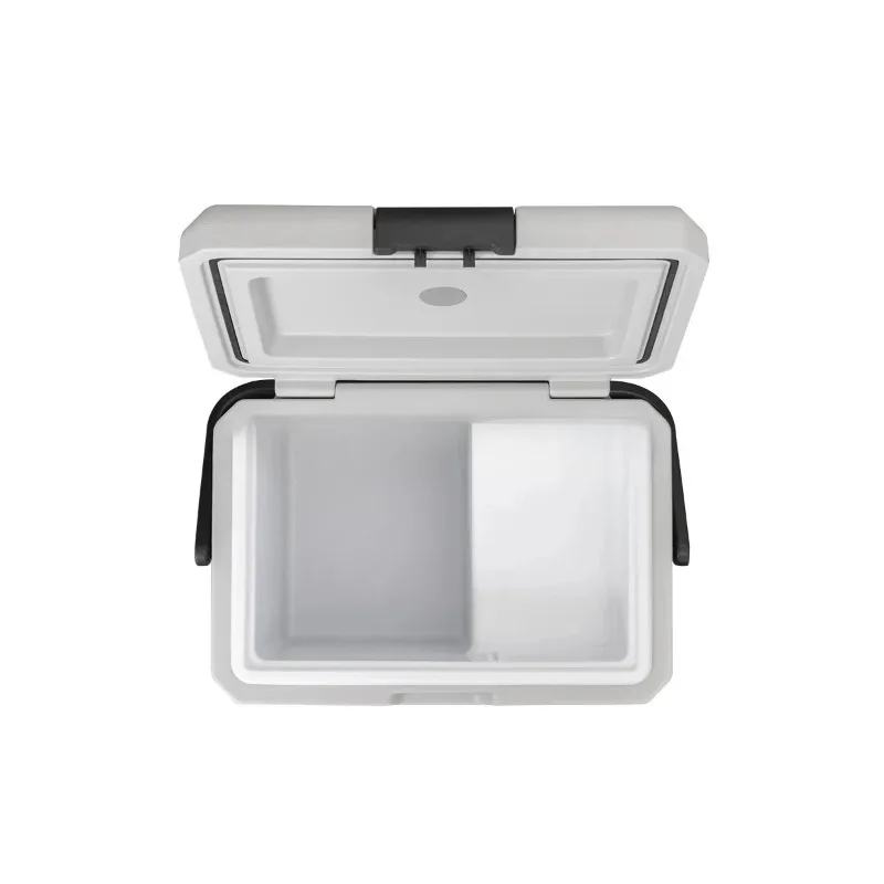 Medical Automobile Refrigerator Compact Design Car Camping Electric Portle Cooler For Car