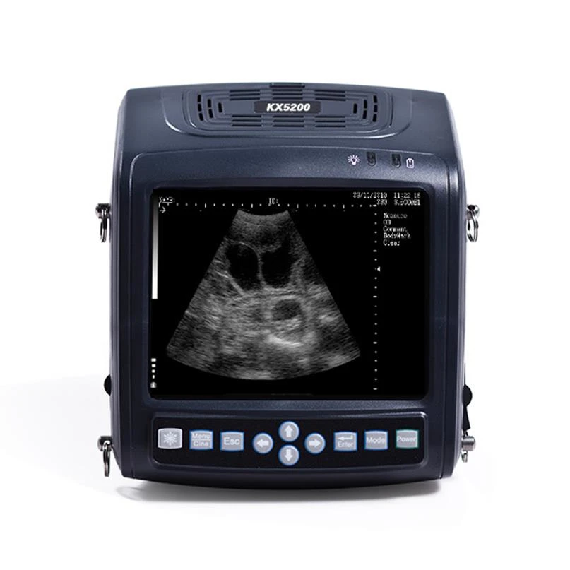 Handheld Veterinary Ultrasound with Reliable Imaging for Mobile Use  Lightweight and Portable Device for Animal Health Diagnosis