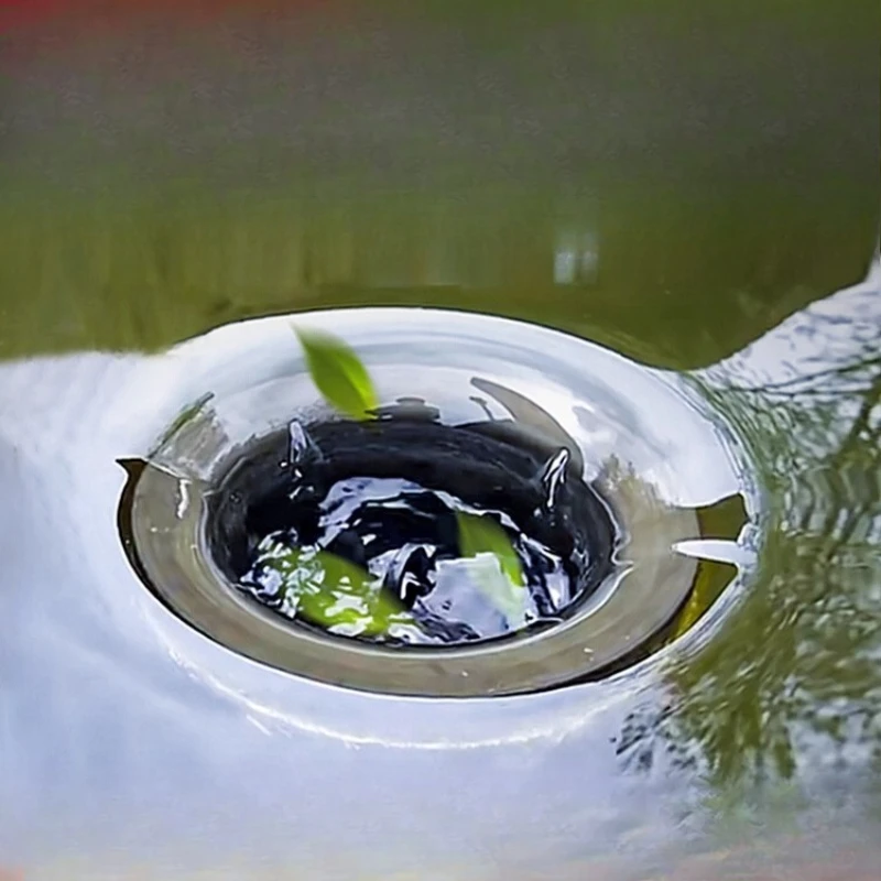 Fish Pond Surface S…