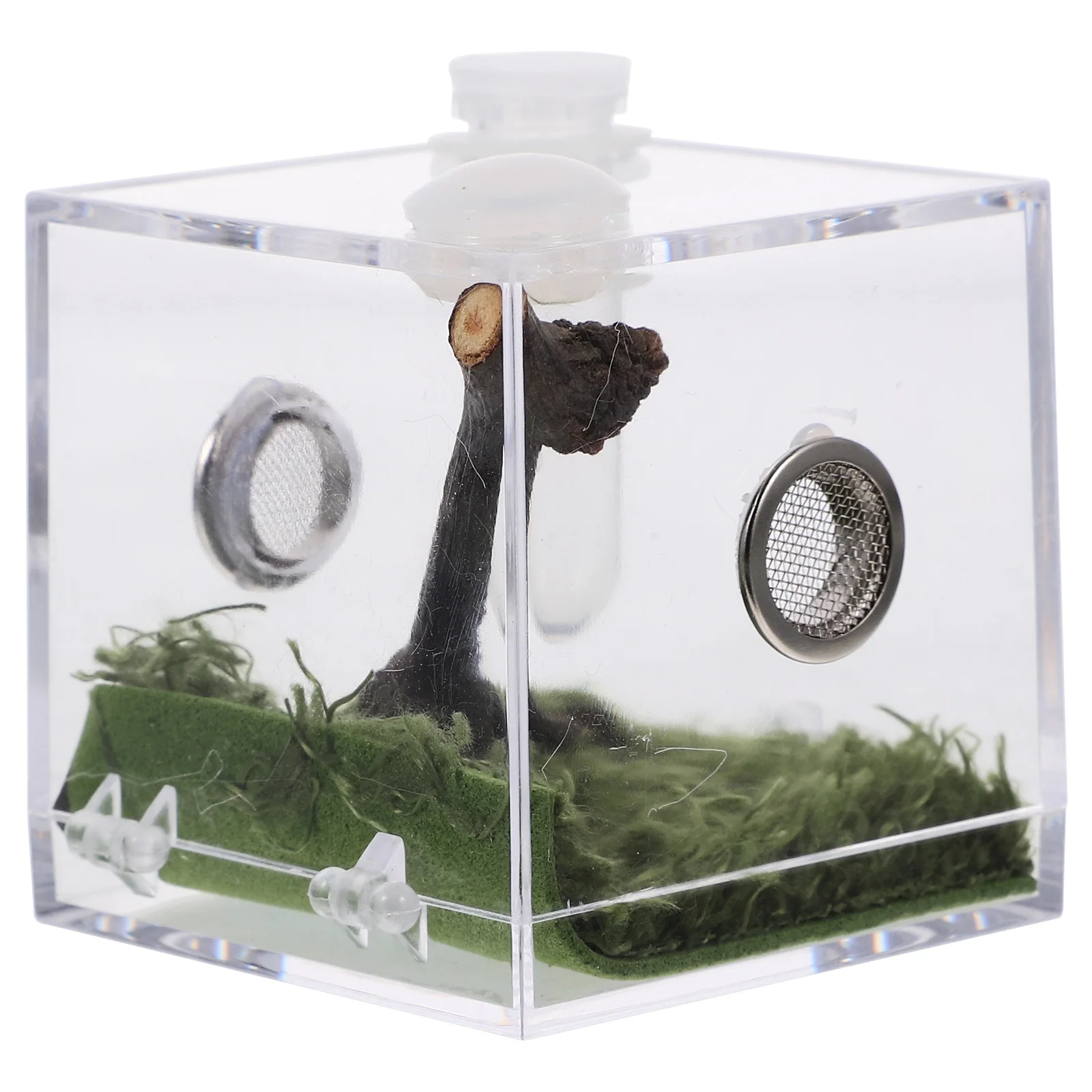

Tarantula Enclosure Spider Container Spiderling Small Transparent Reptile Breeding Case Terrarium Insect Terrariums Feeding Case
