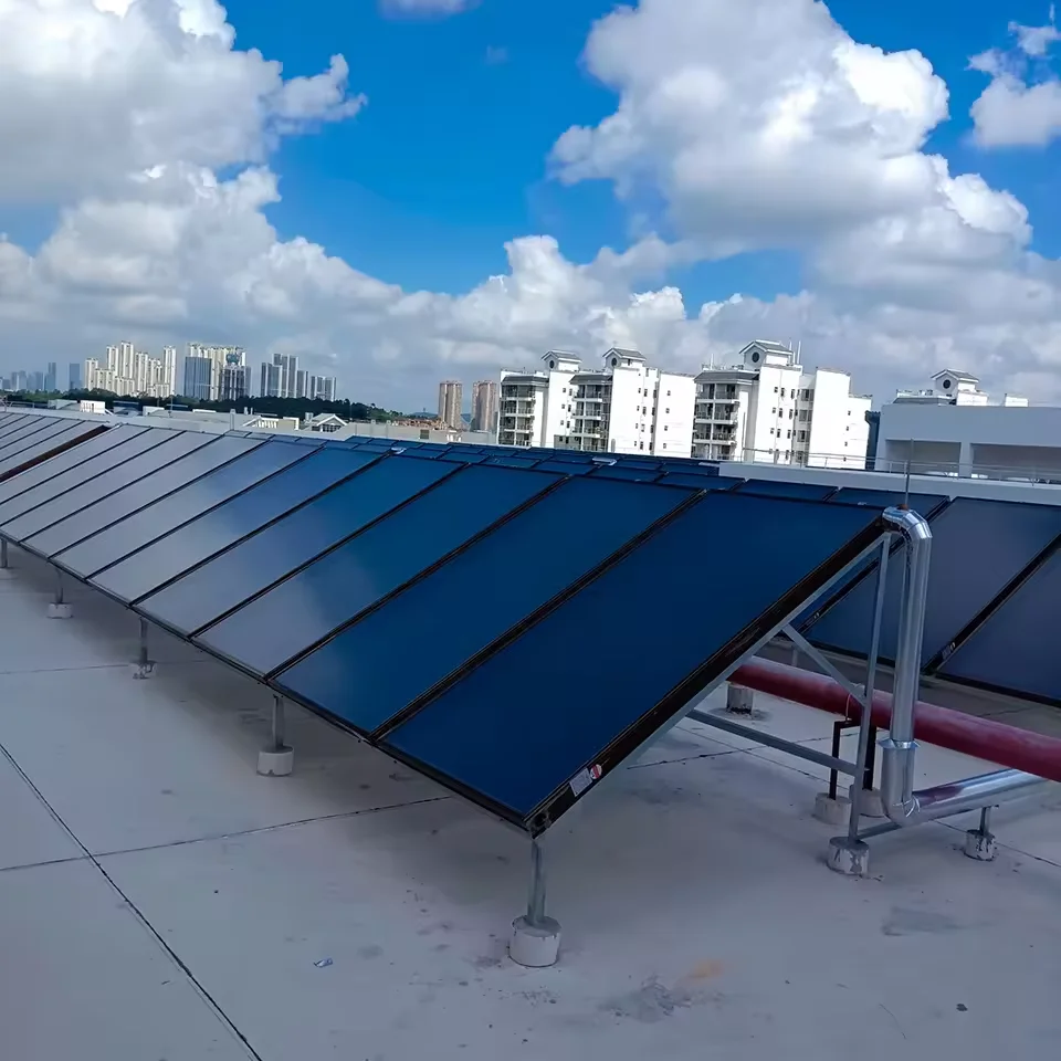 50L Freestanding Flat Plate Solar Collector Black Titanium Alloy Coating Efficient Thermal Energy Absorption for Hotel