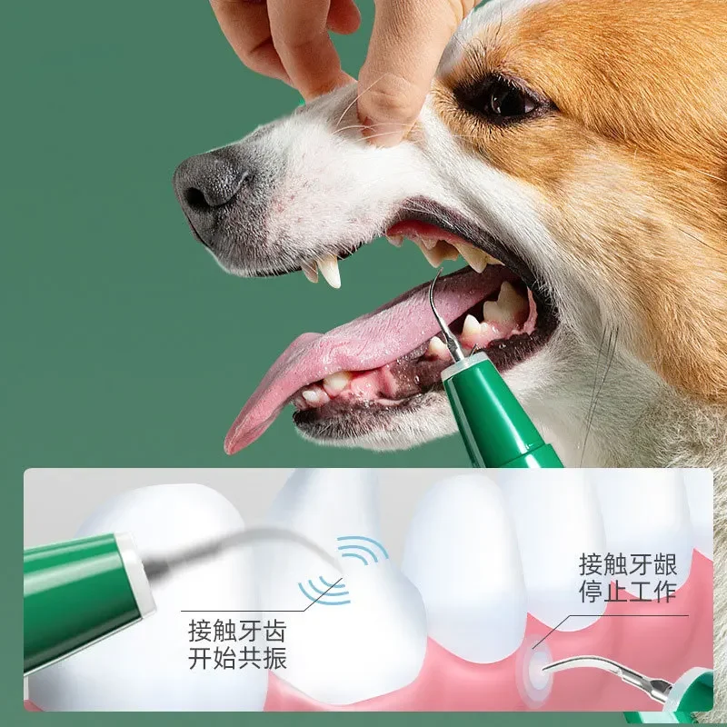 Pet Oral Care teeth Beauty Instrument Electric teeth Flusher Household Portable Stone Removal Ultrasonic teeth Cleaner