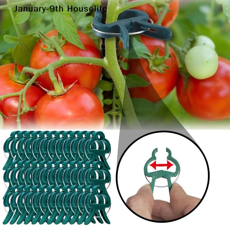 Plant Fixed Clips Reusable Gar - Vine Climbing Plastic 评论和价格