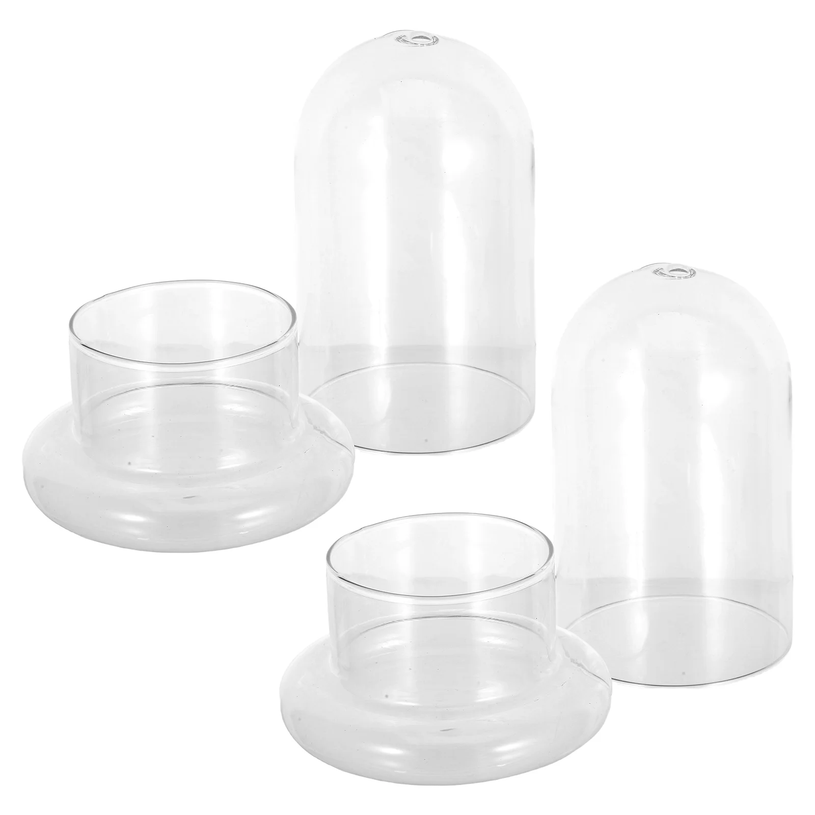 

2 Pcs Landscape Bottle Terrarium Jars Hydroponic Ecosystem Plants Succulent Glass Decoration