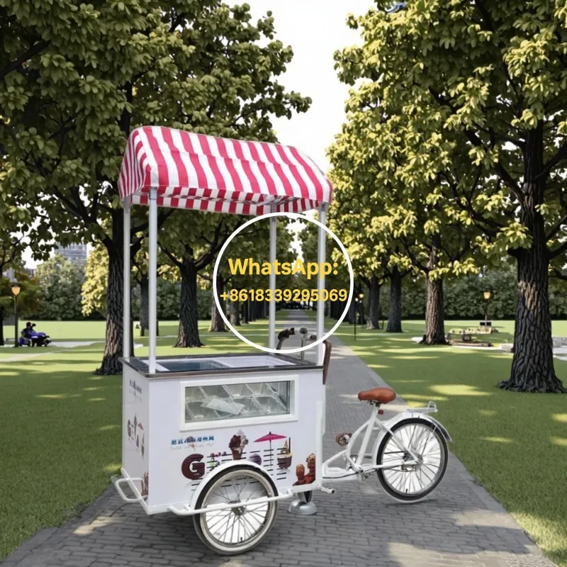 

Mobile Pizza Food Cart Portable Food Vending Cart Customized Kitchen Street Food Cart Ice Cream Bicycle Cart Customized