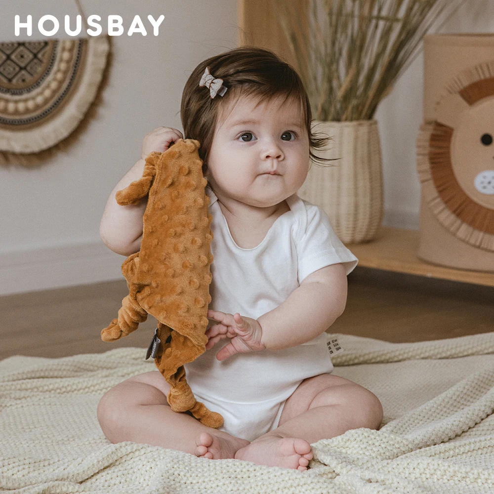 

Baby Blanket For Newborn Appease Towel 1Pc Security Blanket Winter Doudou Velvet Soft Infant Facecloth Can Hanging Soother