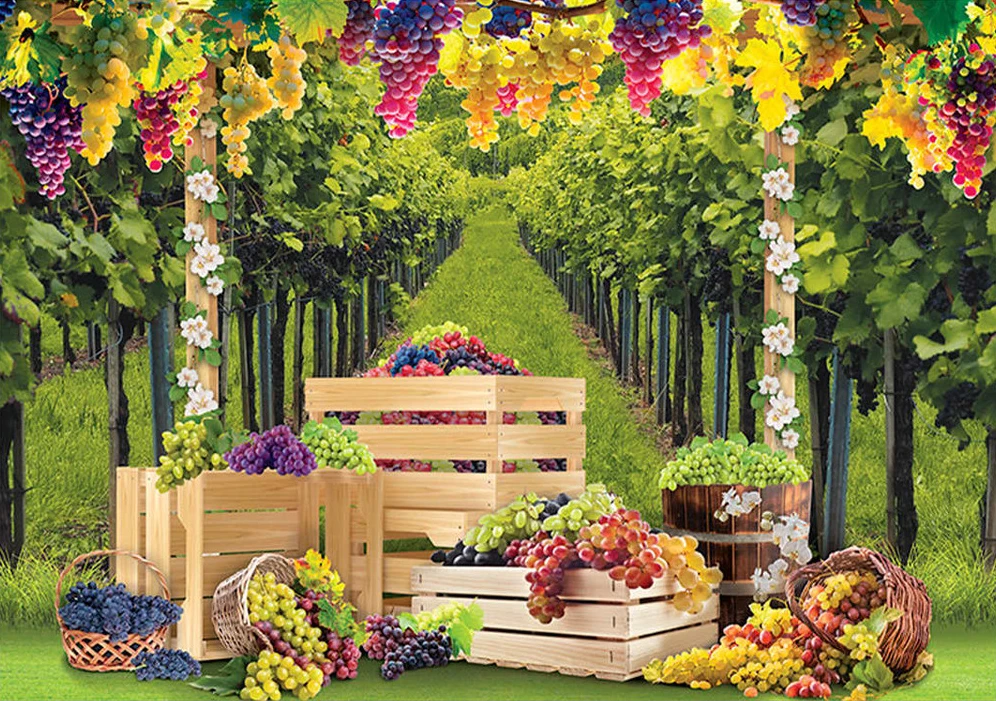 

Summer Grape vineyard Fruit artificial vine Tree backdrops computer print party supplies Photography Studio Backgrounds