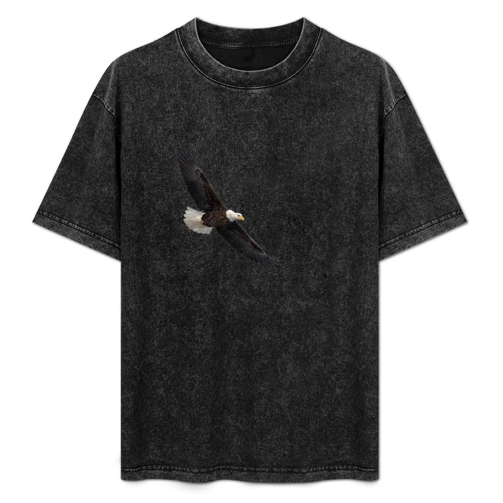 

Isolated Bald Eagle 2019-4 T-Shirt tops graphics t shirt men 100℅ cotton