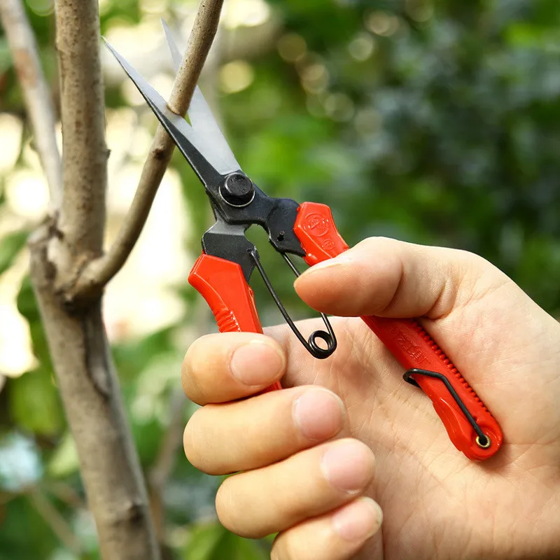 50Pcs 19cm Pruning Shears Fruit Tress Scissors Gardening Flowers Grass Cutter Garden Potted Handle Household Tool